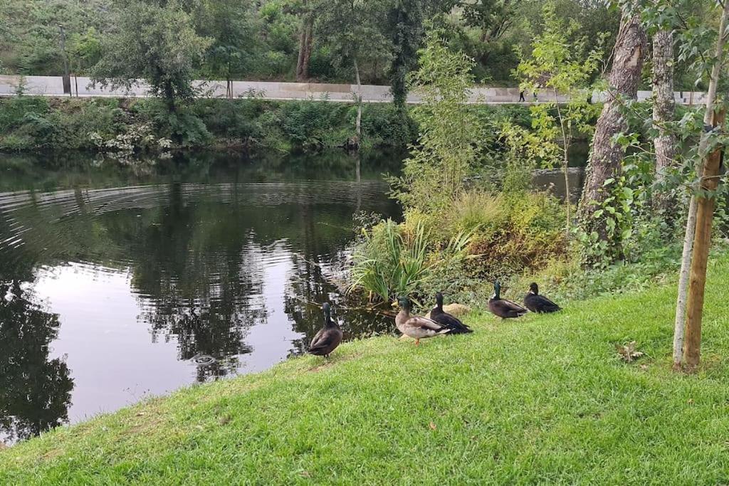 Nature E Spa Al - Termas Saude E Beleza, Totalmente Renovado - Piscinas Municipais Em Frente - Epoca Julho A Setembro São Pedro do Sul المظهر الخارجي الصورة