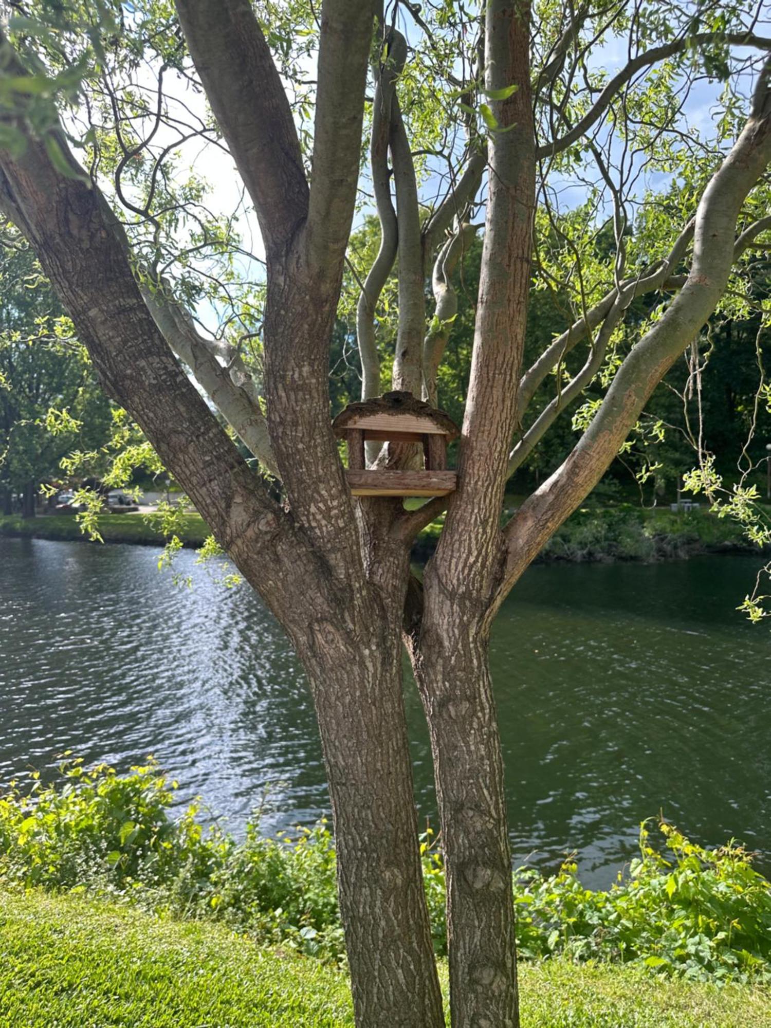 Nature E Spa Al - Termas Saude E Beleza, Totalmente Renovado - Piscinas Municipais Em Frente - Epoca Julho A Setembro São Pedro do Sul المظهر الخارجي الصورة